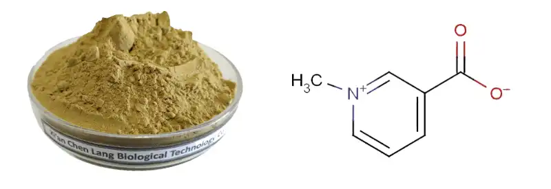 Fenugreek Extract .jpg